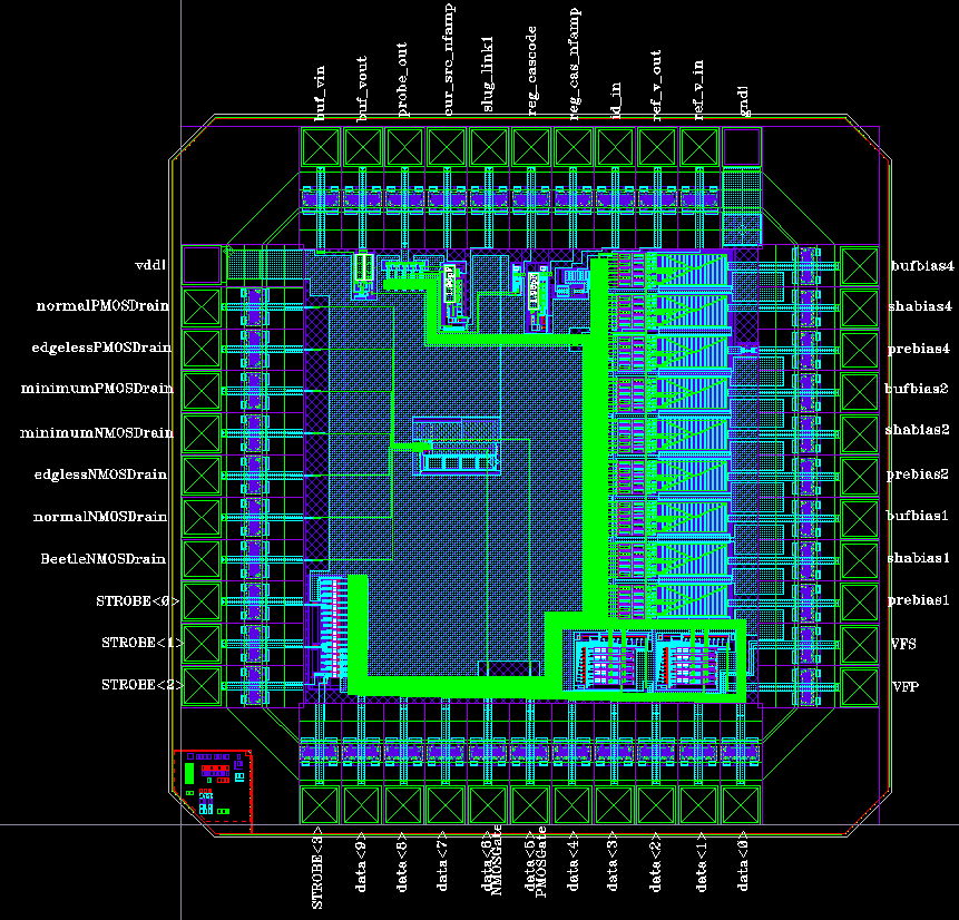 Layout of BeetleBG 1.0