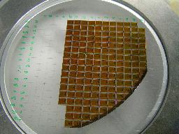 1 quarter of a Beetle ER wafer, diced into single chips