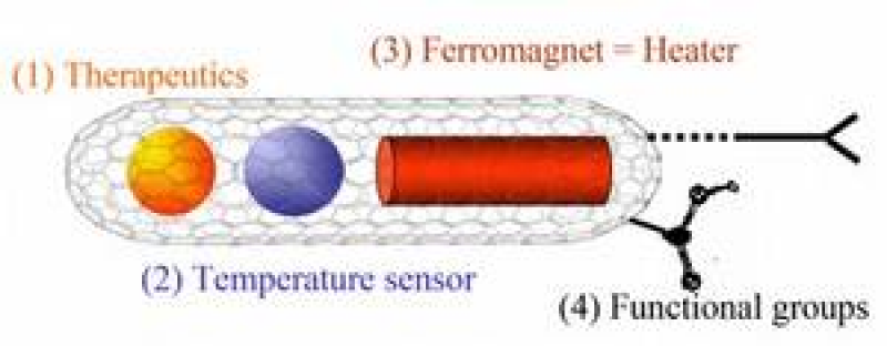 Fig.: Functionalised Carbon Nanotube with different fillling and biofunctional deviatisation of the outer shell.