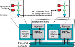 The transport network spanning several Nathan modules.